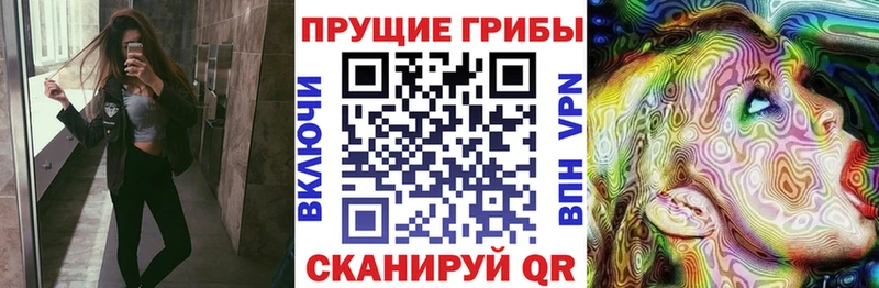 Галлюциногенные грибы прущие грибы  ОМГ ОМГ вход  Городовиковск 